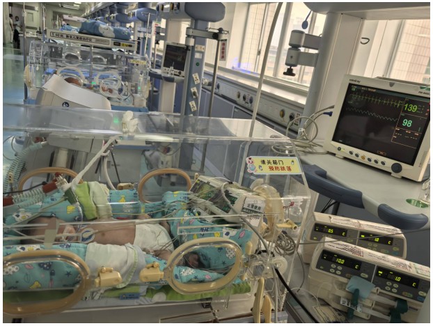 Snipaste_2025-01-16_10-25-39.jpg Snipaste_2025-01-16_10-25-39.jpg